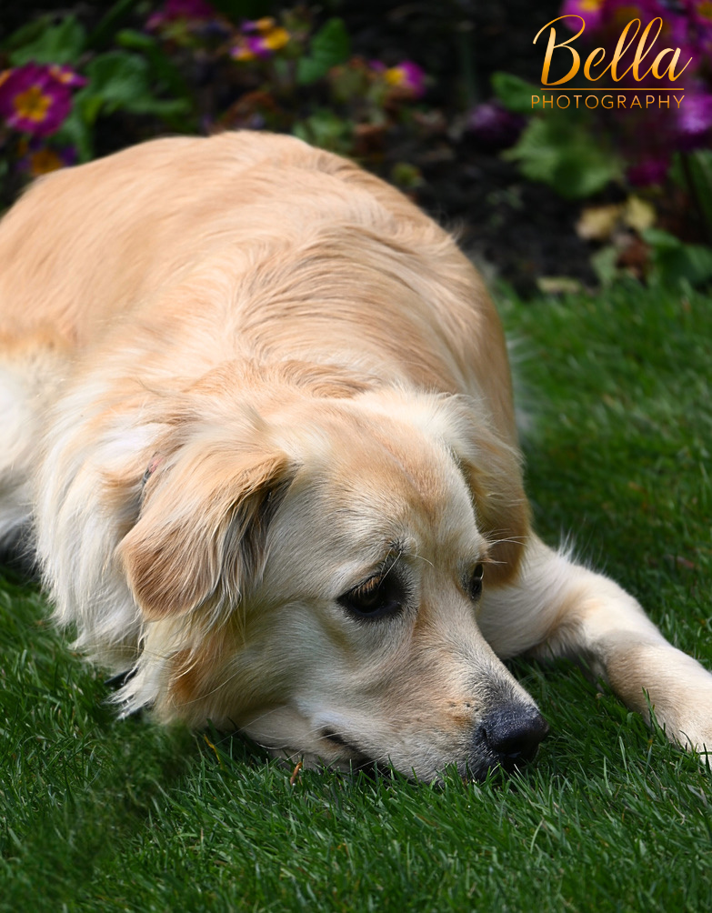 Meg in natural light